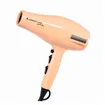 Perfect Beauty CTrend R-3200 sèche-cheveux professionnel