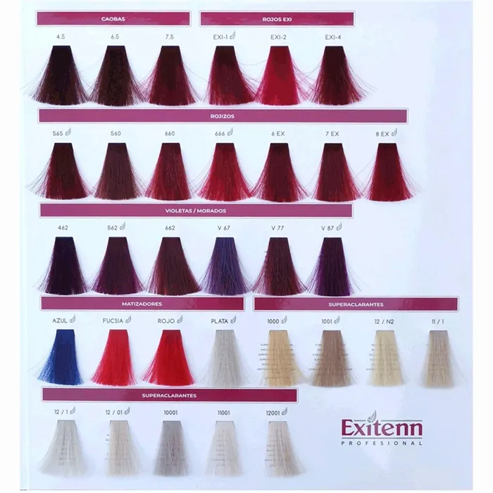 Exitenn Color Creme Tinte Permanente 60ml