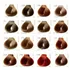 Hair Concept Elite Classic Colorations 60 ml