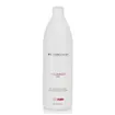 Hair Concept Total Form Volumisateur Fixateur 1 000 ml