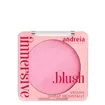 Andreia Immersive Blush - Glowy Finish Vegan