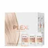 Revox Plex Professional Set