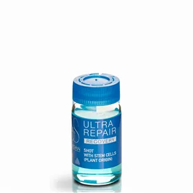 Tratamento Capilar Ultra Repair Recovery 6x10ml Lendan