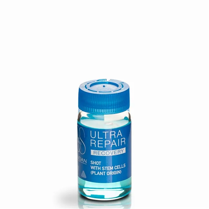 Tratamento Capilar Ultra Repair Recovery 6x10ml Lendan