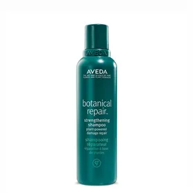 Aveda Botanical Repair Champô