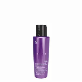 Artistic Hair No Yellow Shampoo