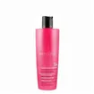 Champô Artistic Hair Color Care