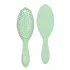 Wet Brush Go Green Treatment and Shine Brush