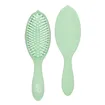 Wet Brush Go Green Treatment and Shine Brush