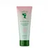 Camille Rose Rosemary Oil Strengthening Hair Scalp Cleanser 251ml