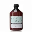 Davines Naturaltech Détoxifiant Superactif 500 ml