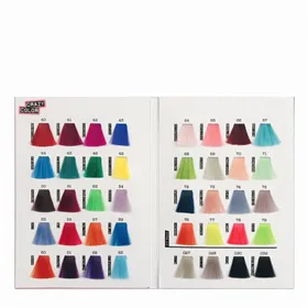 Carta de Cor Crazy Color