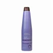Be Natural Blueberry Silver Acondicionador 350ml