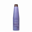 Be Natural Blueberry Silver Champu 350ml