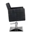Sillon de Peluqueria Horace