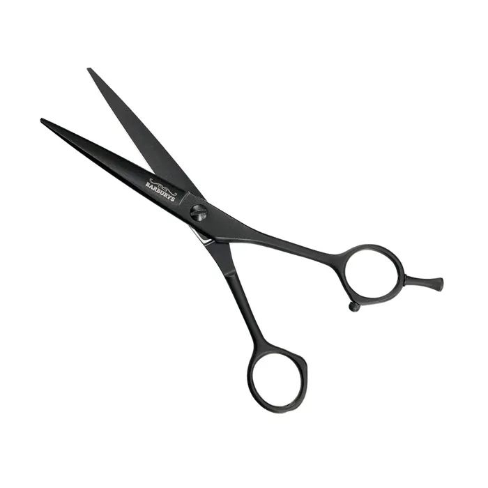 Barburys Sky Ciseaux de coiffure Barburys