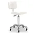 Taburete de Estetica Gordon W