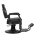 Sillon de Barbero Buzz