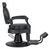 Sillon de Barbero Shor