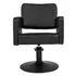 Sillon de Peluqueria Class