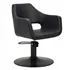 Sillon de Peluqueria Whim