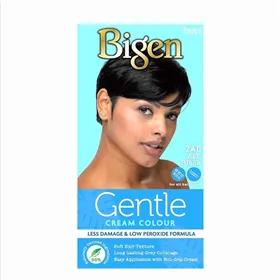 Bigen Gentle Cream Colour 