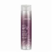 Joico Defy Damage Detox Champô