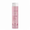 Joico InnerJoi Preserve Champô