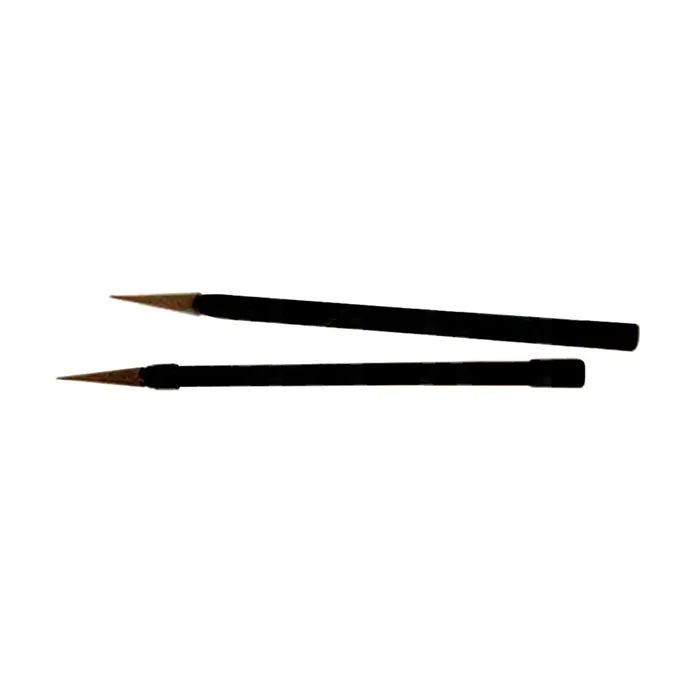 Thuya Bâtonnet pour déposer les extensions 25u/d
