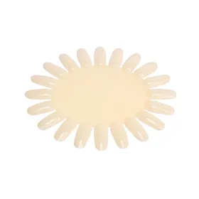 Thuya Nuancier Coloration Anonyme