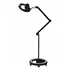 Lampe d'esthétique LED Mega