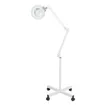 Lampe d'esthétique Broad