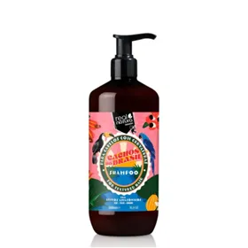 Real Natura Cachos do Brasil Champu 500ml