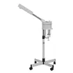 Vaporizador Facial Sky