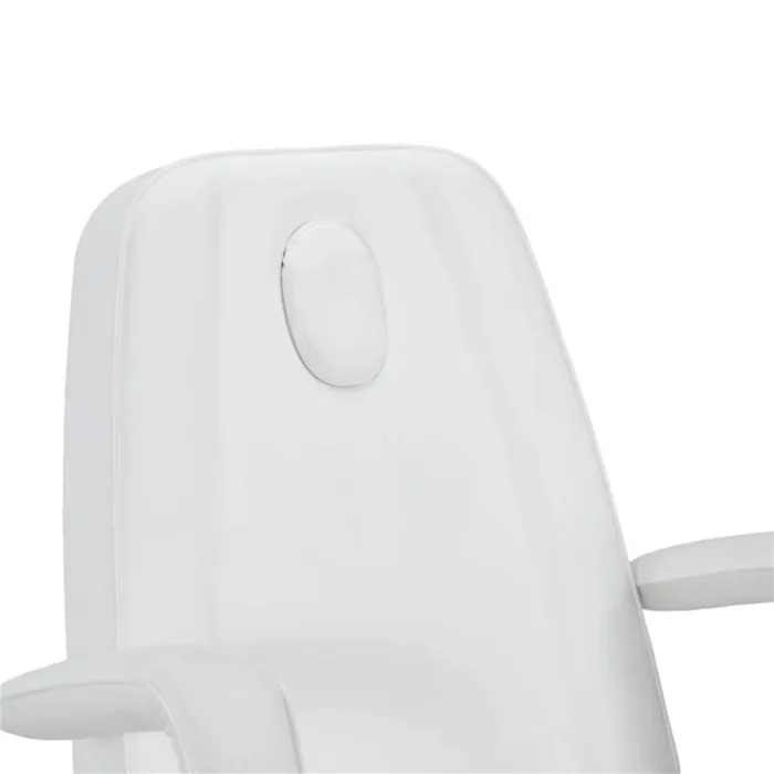 Sillon de Estetica Electrico Rhea