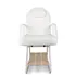 Sillon de Estetica Scorpius