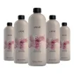 Lakmé Color Developer Oxydant en crème 38 vol 1000 ml