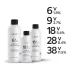 Lakmé Chroma Color Developer 60ml