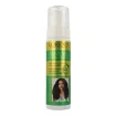 Lorenti Hair Shiny Foam 200ml