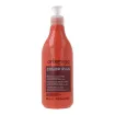 Arkemusa Colorplus Champú Protector Color 500ml