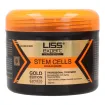 Liss Expert Stem Cells Gold Edition Alisado