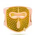 Mascara Facial de Fototerapia LED G11
