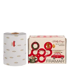 Framar Embossed Medium Rouleau Aluminium 97 m