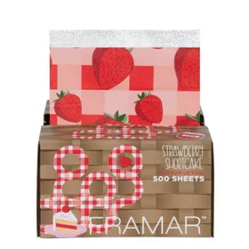 Framar Caja Autodispensadora Pop Ups 500 Sheets