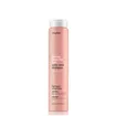 Erayba ABH Color Care Champô