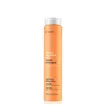 Erayba ABH Repair Champô