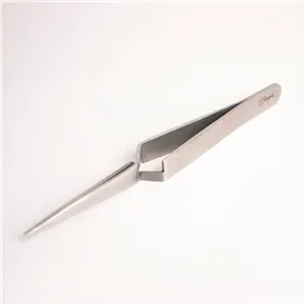 Thuya Pinza Pinching