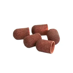 Thuya Recâmbio Esmeril Pés 80 5uds