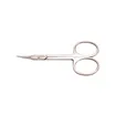 Thuya Ciseaux pour Extensions