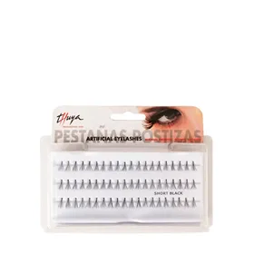 Thuya Cils Postiches Groupes 60uds
